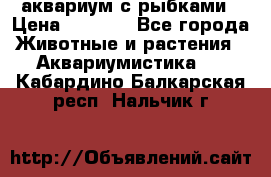 аквариум с рыбками › Цена ­ 1 000 - Все города Животные и растения » Аквариумистика   . Кабардино-Балкарская респ.,Нальчик г.